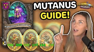 How to Best Use Mutanus Buddy in any build  Hearthstone Battlegrounds [upl. by Suiravat359]