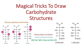 How to Memorize Carbohydrates Structures [upl. by Fabrianna]