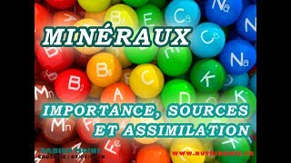 Les minéraux  importance sources et assimilation  Équilibre acidobasique Fabien Moine [upl. by Earised]