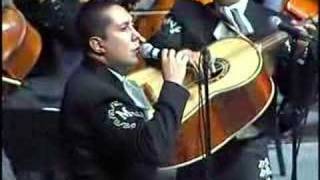 MARIACHI VARGAS DE TECALITLAN EL PASTOR [upl. by Enelyad]