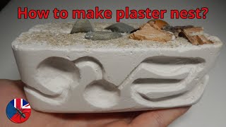 How to make compact formicarium  ALL IN ONE  Plaster Nest Tutorial [upl. by Itnuahsa83]