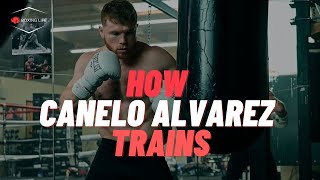 Canelo Alvarezs Unreal Training Routine  Full Breakdown [upl. by Ronel]