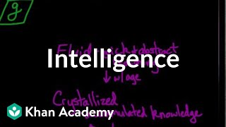 Intelligence  Processing the Environment  MCAT  Khan Academy [upl. by Harriot]