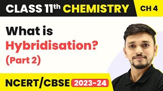 Hybridisation Part 2  Chemical Bonding and Molecular Structure  Class 11 Chemistry [upl. by Zeb]