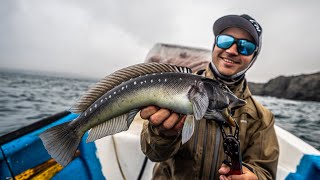 Pesca desde EMBARCACIÓN  Probando nuevos equipos de pesca SLOW JIGGING [upl. by Tranquada352]