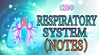 Respiratorysystemnotes respiratory Lungs anatomy [upl. by Inohs]