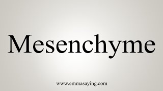 How To Say Mesenchyme [upl. by Mcdowell479]