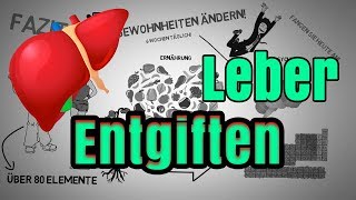 Leber entgiften ▸ Tipps für eine gesunde Leber [upl. by Amimej253]