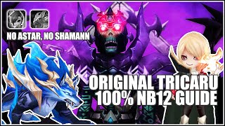 Summoners War  Necro B12  NB12 100 Auto F2P Guide  Original Tricaru No Astar No Shamann [upl. by Mila]