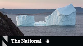 Where are the icebergs Newfoundland to see fewer this season [upl. by Llezo]