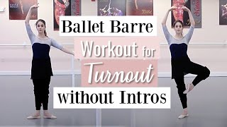 Barre Workout for Turnout Without Intros  Kathryn Morgan [upl. by Siuqaj48]