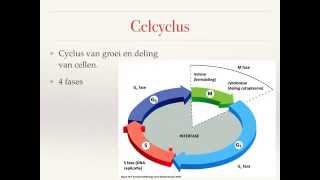 De celcyclus [upl. by Ymma]