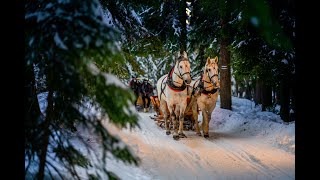 Kulig Zakopane z pochodniami kapelą góralską menu bez limitu  oferta 20232024 od OtoTatrypl [upl. by Auburn]