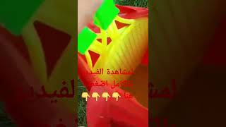 خريجة للطبيعة في سويسرا روتيني shorts vlog [upl. by Collbaith]