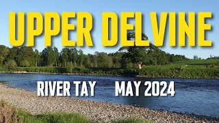 Salmon Fly Fishing  Upper Delvine  River Tay  May 2024 [upl. by Tarfe]