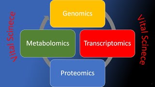 Metabolomics [upl. by Blanchette]