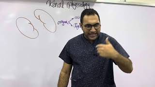 Renal physiology 1 القصر العيني ٢٠٢٤ [upl. by Nahbois304]