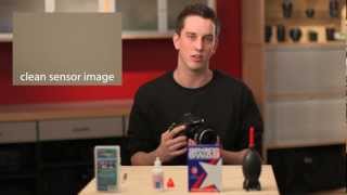 How to professionally clean your DSLR camera sensor [upl. by Gayelord]