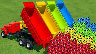 Marble Run ASMR Race ☆ HABA Slope amp Dump Truck Excavator Ambulance Forklift Garbage Truck Tractors [upl. by Katusha843]