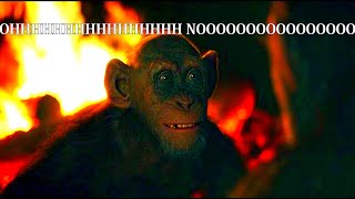 BAD APE OH NO PLANET OF THE APES MEME [upl. by Maryann]