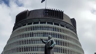 Exploring around Wellington travel 旅行vlog travelphotography newzealand wellington [upl. by Hartnett]