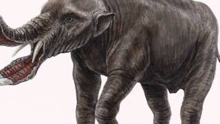 Platybelodon [upl. by Dahaf845]