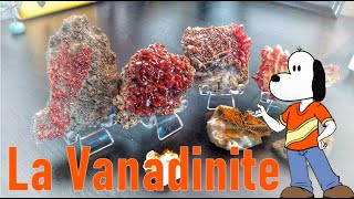 La Vanadinite  mon minéral préféré😁 [upl. by Buskirk]