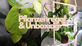 Pflanzenregal VITTSJÖ Set up amp ECUAGENERA UNBOXING 🪴✨ [upl. by Acinomal]