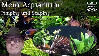 Pimping und Scaping  Mein Aquarium 11 [upl. by Aetnahc773]