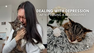 Depression After The Loss Of A Pet  Ways To Cope With Grief  Rainbow Bridge  My Story of Pet Loss [upl. by Ardnasella977]