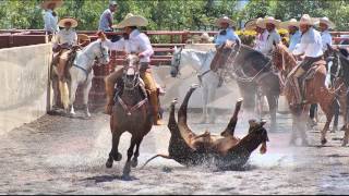 Chava Belmontes quot JOVEN RANCHERO quot  PROMO 2014 [upl. by Dorisa]