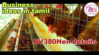 business ideas in tamil Hitech organic farming  Nest organic poultry BV380 in Tamil Nadu M eggs [upl. by Gamber]