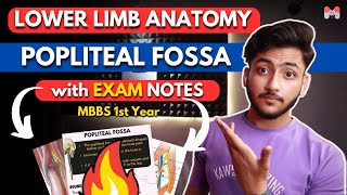 Lower Limb Anatomy Popliteal Fossa  MBBS 1st Year  Full Explanation With Exam Notes  MBBS World [upl. by Esadnac]