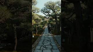 【R5C】cinematic Kyoto canon eosr5c kyoto r5c [upl. by Padraic]