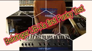 Behringer UBXa first Funky Test [upl. by Areta]