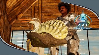 Easy Setup Automated Farm in Ark Survival Ascended EP4 [upl. by Auhesoj571]