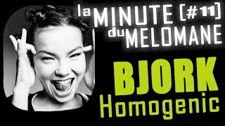 BJORK Homogenic [upl. by Llebanna]