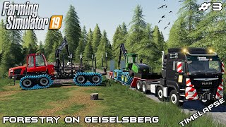 Moving equipment amp cutting down trees  Forestry on Geiselsberg  Farming Simulator 19  Episode 3 [upl. by Earissed]