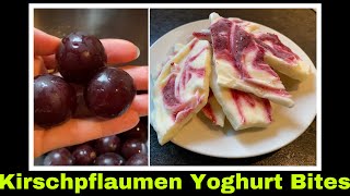 Kirschpflaumen Yoghurt Bites  Frozen Yoghurt Eis ohne Eismaschine  Selbstversorgung Mirabellen [upl. by Pfosi]