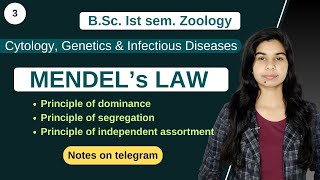 Cytology Genetics amp Infectious Diseases  MENDEL’s LAW  हिंदी में  Zoology [upl. by Nilyac]