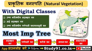 32Natural Vegetation in India Tropical Evergreen ForestTropical Moist Deciduous Forest Study91 [upl. by Omidyar]