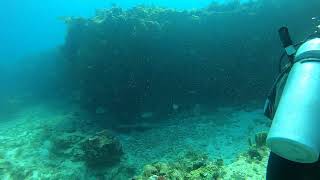 Scuba at Herradura Reef Cancun 22May24 [upl. by Astiram]