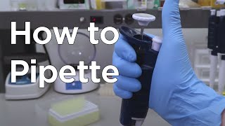 How to Micropipette  miniPCR bio™ [upl. by Dugaid]