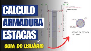 Planilha Cálculo Armadura de Estacas Passo a Passo  Barras e Estribos  Guia do Usuário [upl. by Edmee849]