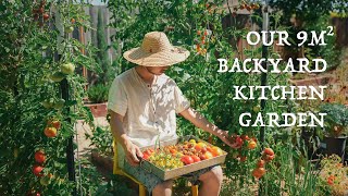 Our 9 sqm backyard kitchen garden 6month vegetable garden journey [upl. by Shepherd168]