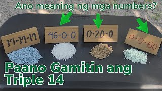 Paano Gamitin ang Triple 14  Detalye ng NPK 4600 0200 0060 [upl. by Isma]