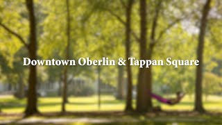 Oberlin College Virtual Tour Downtown Oberlin and Tappan Square [upl. by Timmie941]