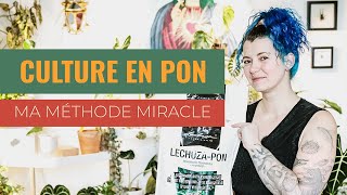 🪴 Hydroponie Passive en Pon 💦  Pourquoi et comment utiliser le Pon avec tes plantes [upl. by Alegna]