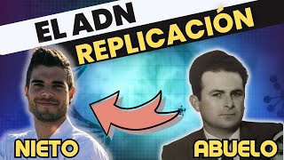 La REPLICACIÓN del ADN la BIOMOLÉCULA de la HERENCIA [upl. by Nomyad]