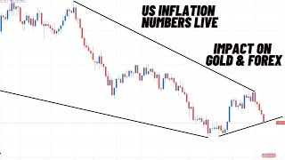 US CPI Data Live  US Inflation Data Impact on Forex Gold  XAUUSD Update  11 September [upl. by Mert777]